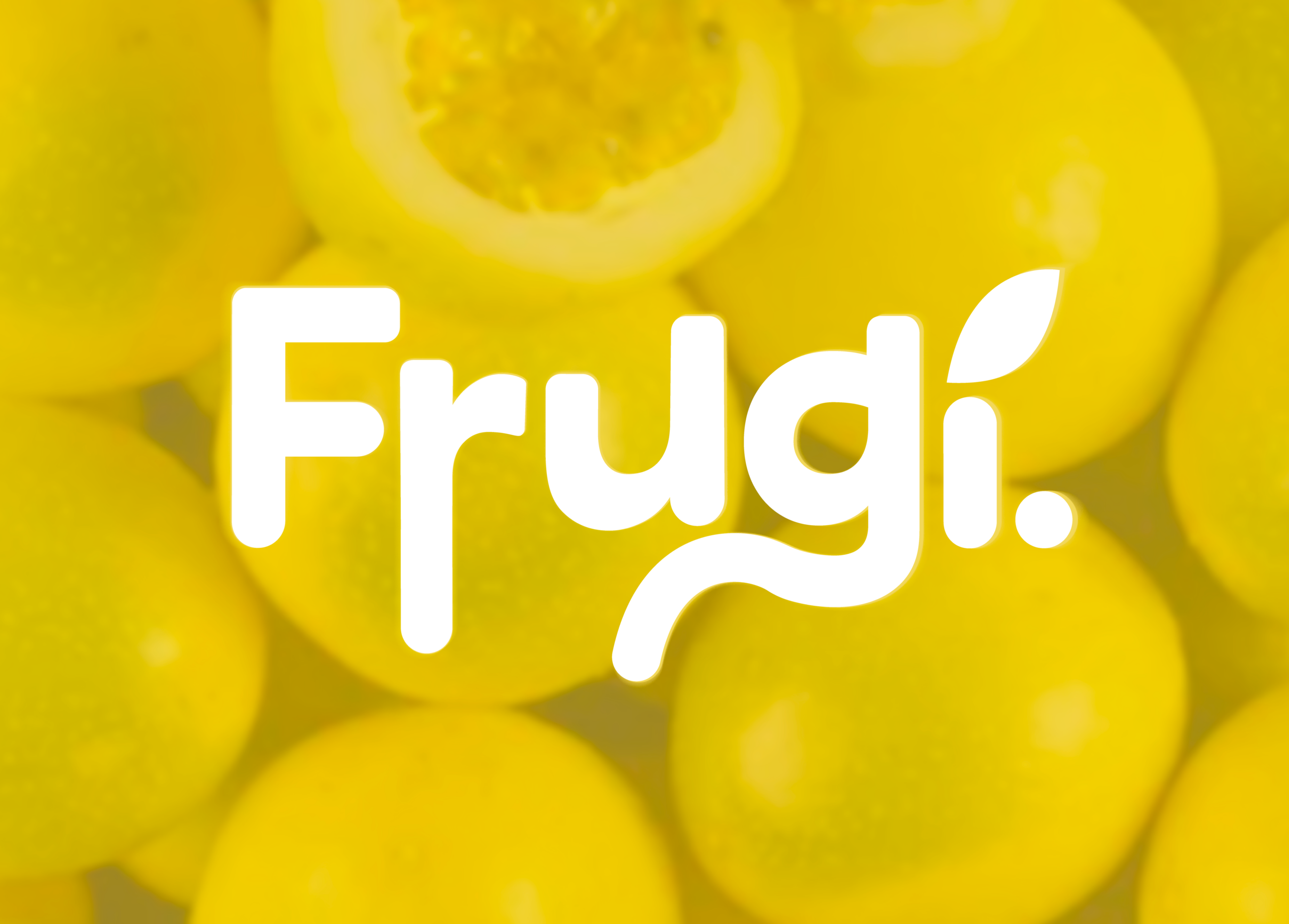 Diaporama Frudgi