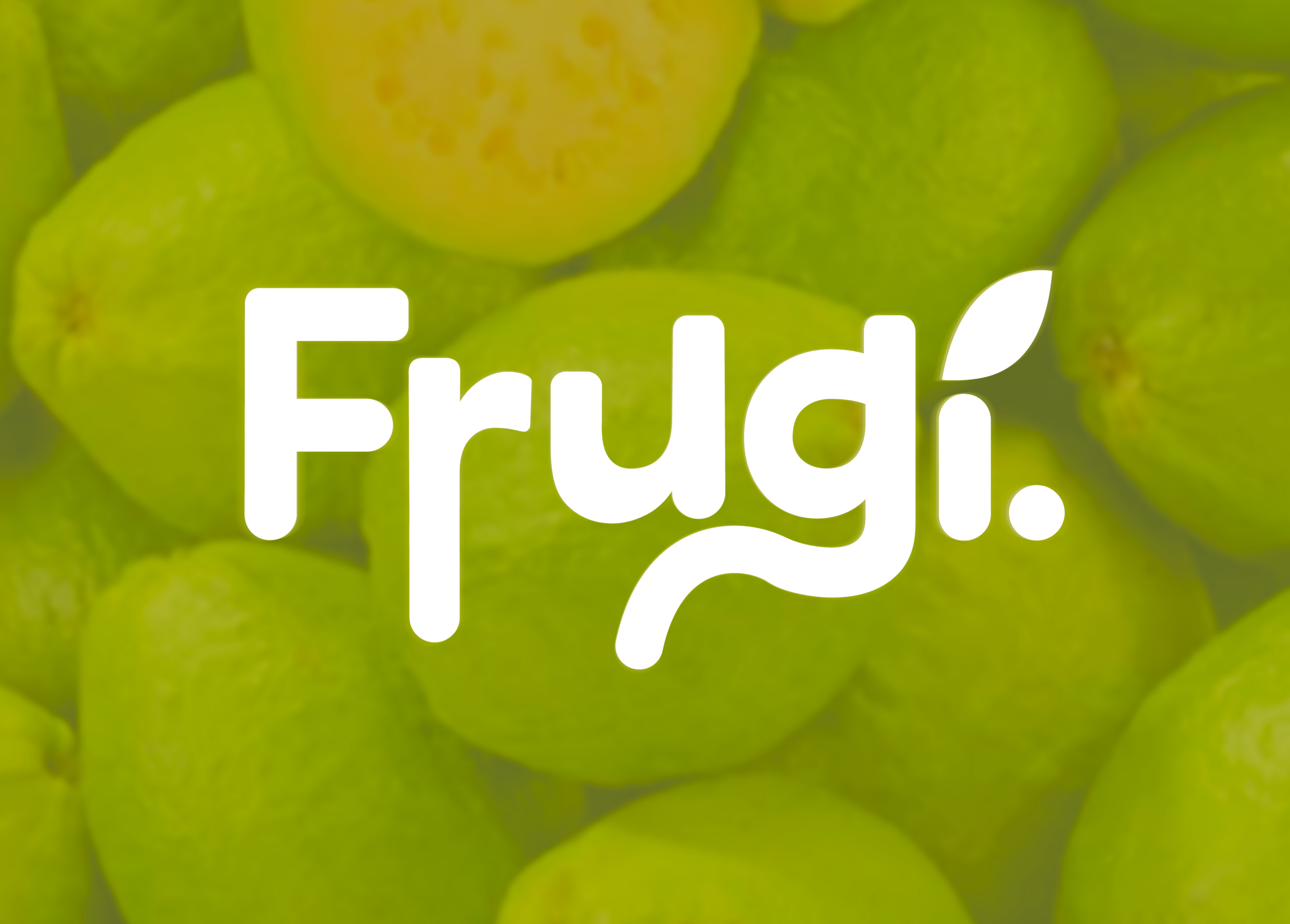 Diaporama Frudgi