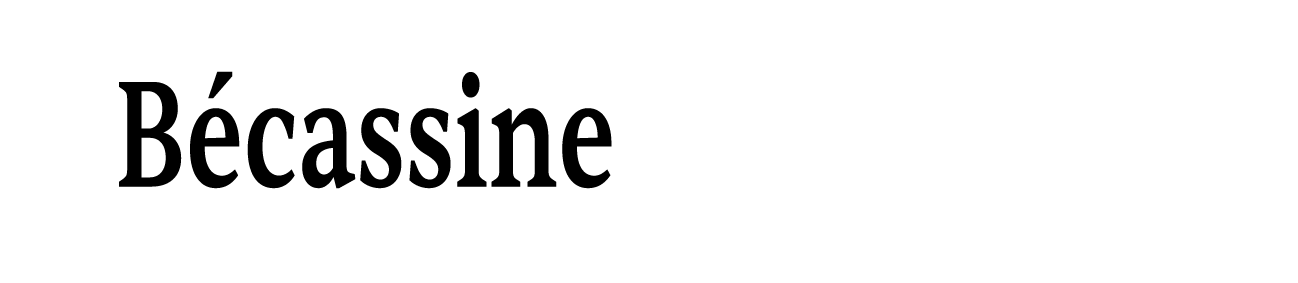 Logo Bécassine